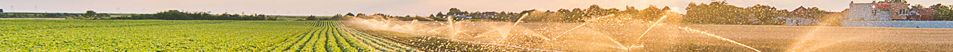 Irrigated field with a clear sky